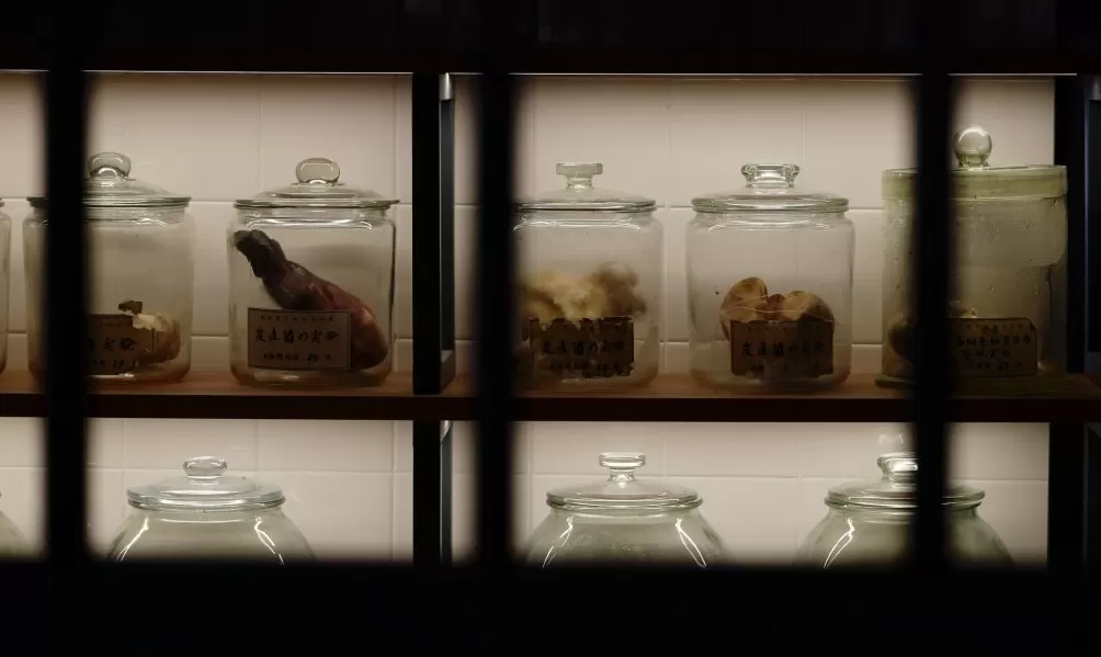 城事|《731》拍摄历程特展开幕,罪证陈列馆参观者激增-第3张图片- 城事|《731》拍摄历程特展开幕,罪证陈列馆参观者激增-第3张图片-