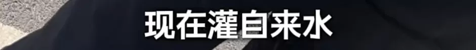 上海知名景区门口有人卖不明饮料，不少游客中招，城管部门已介入调查-第8张图片-