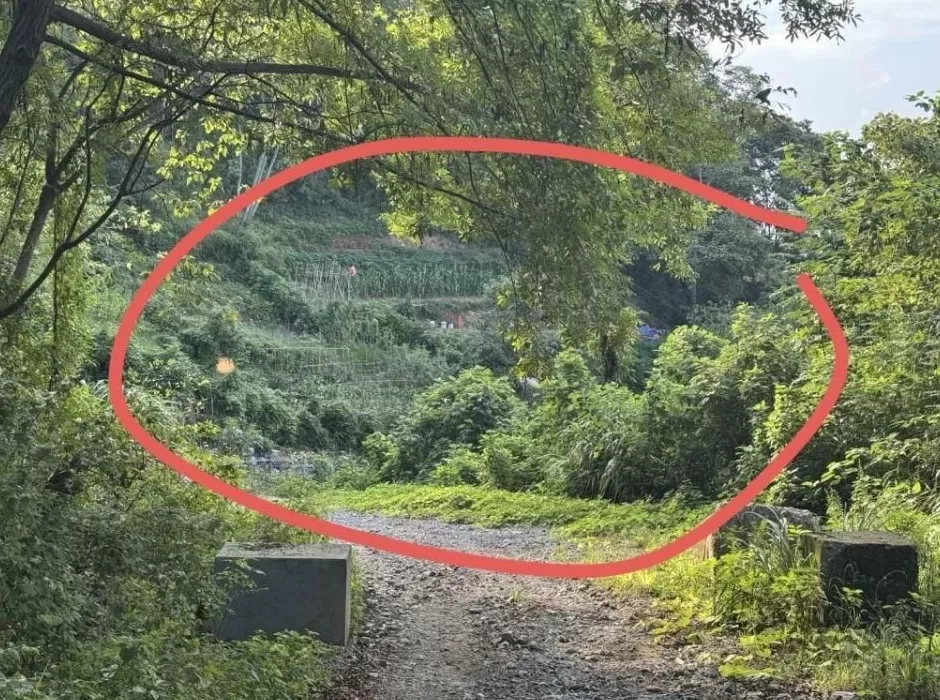 探访52岁女子误触氢氟酸身亡事发地,知情人士:她在后山种菜时滑倒,事发地原先是矿山-第1张图片- 探访52岁女子误触氢氟酸身亡事发地,知情人士:她在后山种菜时滑倒,事发地原先是矿山-第1张图片-