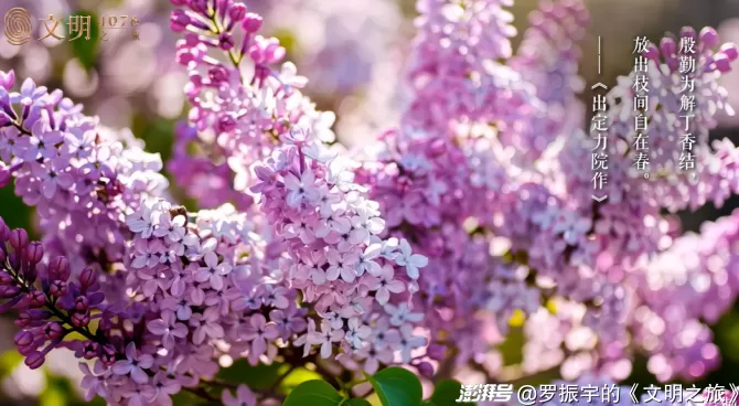 公元1076年：哲人为什么当不了国王？-第1张图片-