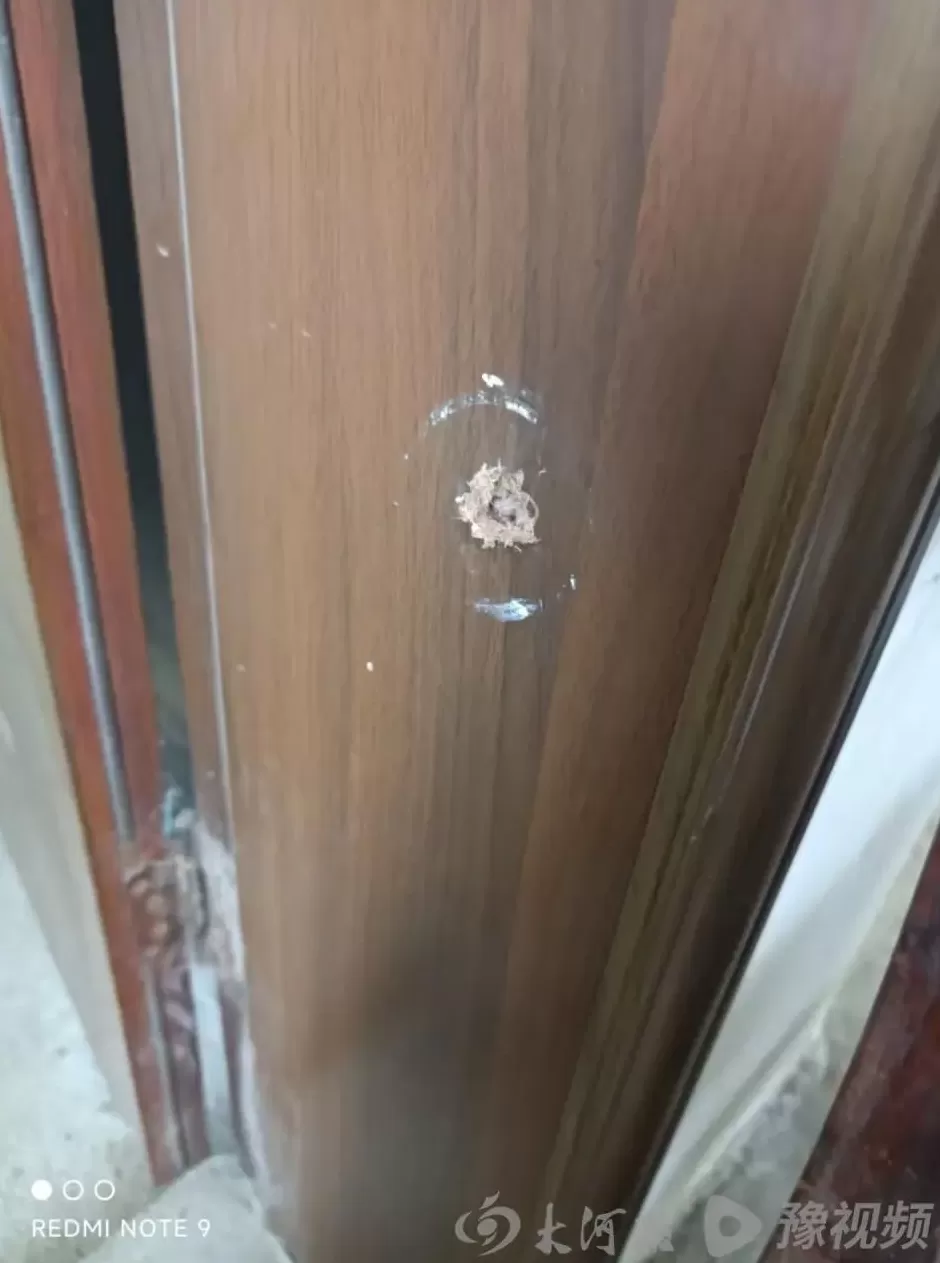 男子用改装射钉枪射杀六旬夫妇，检方抗诉一审死缓判决，二审即将开庭-第4张图片-