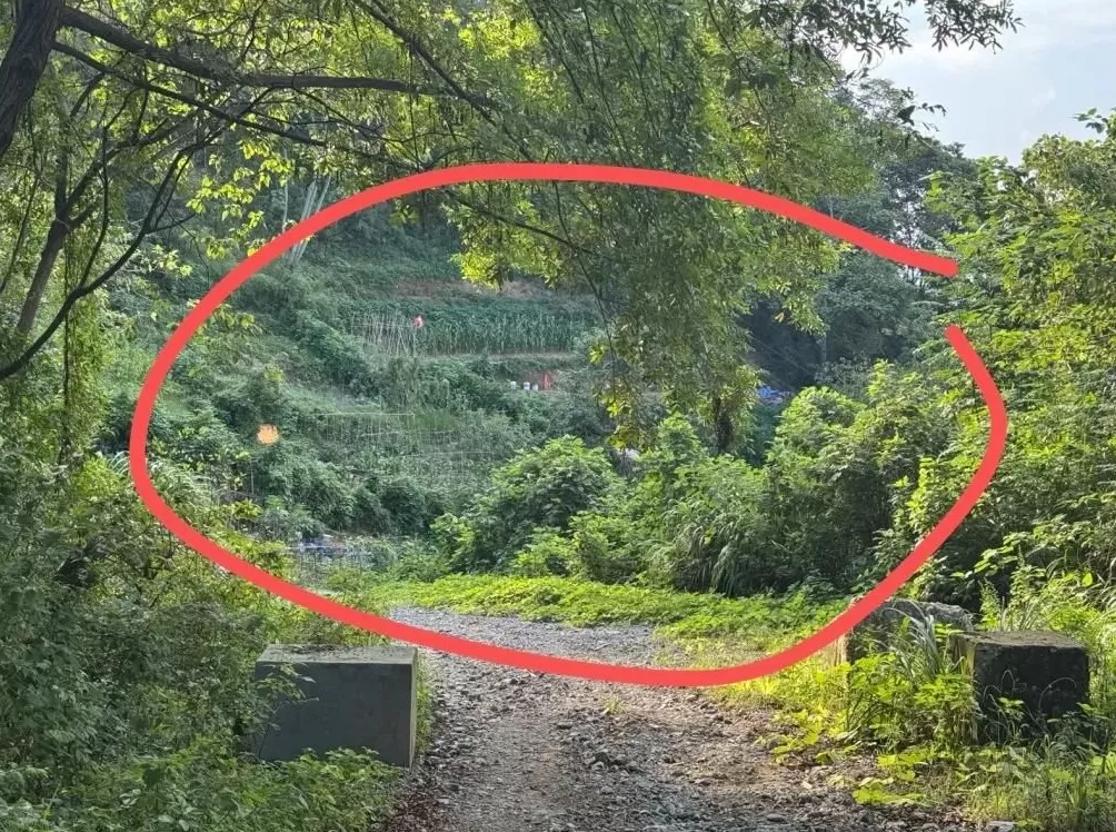 杭州女子散步误踩氢氟酸中毒去世,当地最新回应:已锁定化学品所有者,共发现三桶氢氟酸-第2张图片- 杭州女子散步误踩氢氟酸中毒去世,当地最新回应:已锁定化学品所有者,共发现三桶氢氟酸-第2张图片-