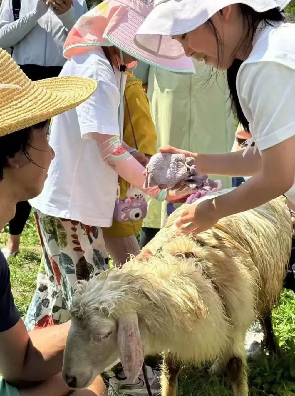 流浪者赵典：32岁，海归硕士，放弃高薪工作只为做回自己-第13张图片-