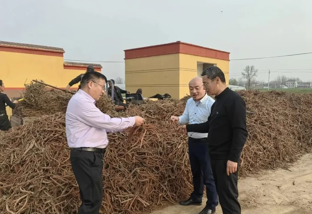 河南周口广播电视台驻村书记周宪飞长期劳累不幸离世，年仅43岁-第2张图片-