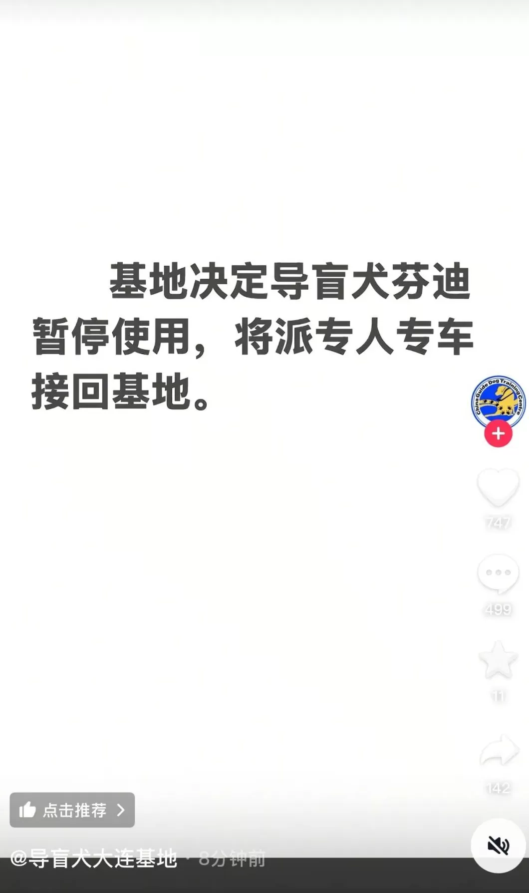 “视障人士带导盲犬爬泰山”被质疑吸引流量，导盲犬基地回应-第2张图片-