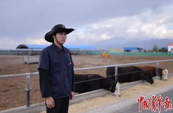 看这边风景-第5张图片-