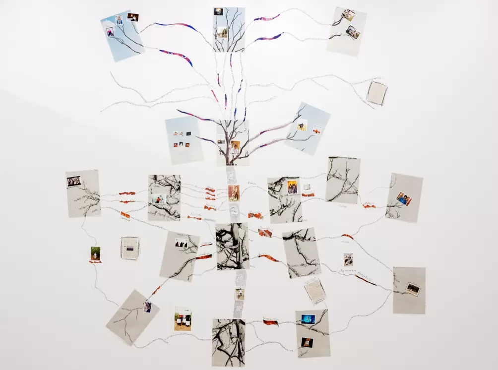 看展览｜MoMA新摄影展：用摄影产生归属-第6张图片-