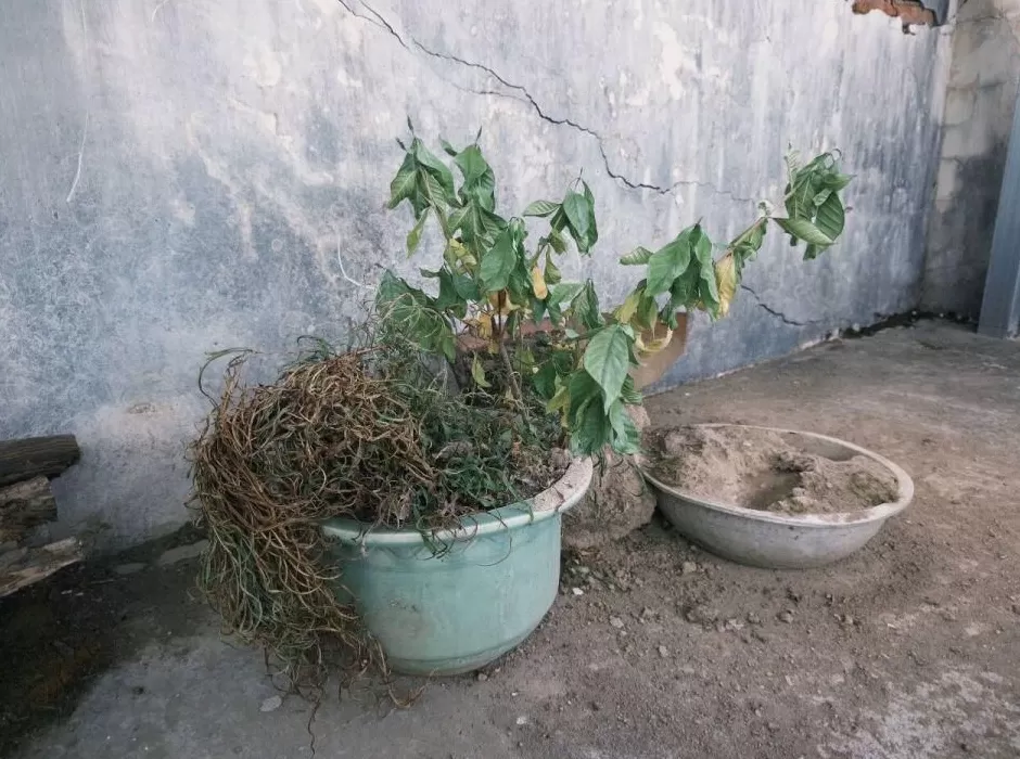 儿子自杀后,一个母亲遗忘的决心-第14张图片- 儿子自杀后,一个母亲遗忘的决心-第14张图片-