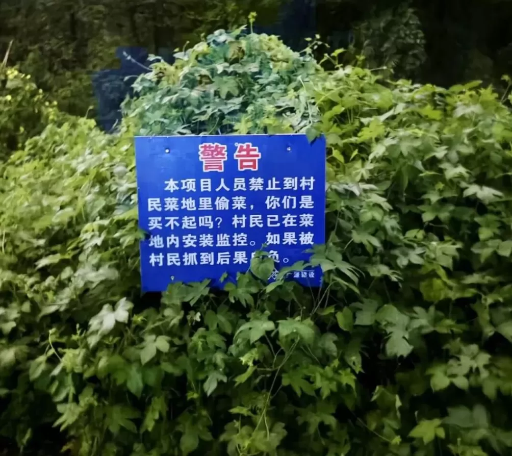 我去了杭州“化骨水”事发现场-第7张图片- 我去了杭州“化骨水”事发现场-第7张图片-