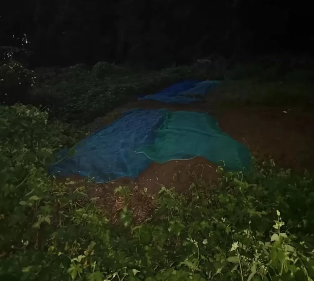 我去了杭州“化骨水”事发现场-第8张图片- 我去了杭州“化骨水”事发现场-第8张图片-