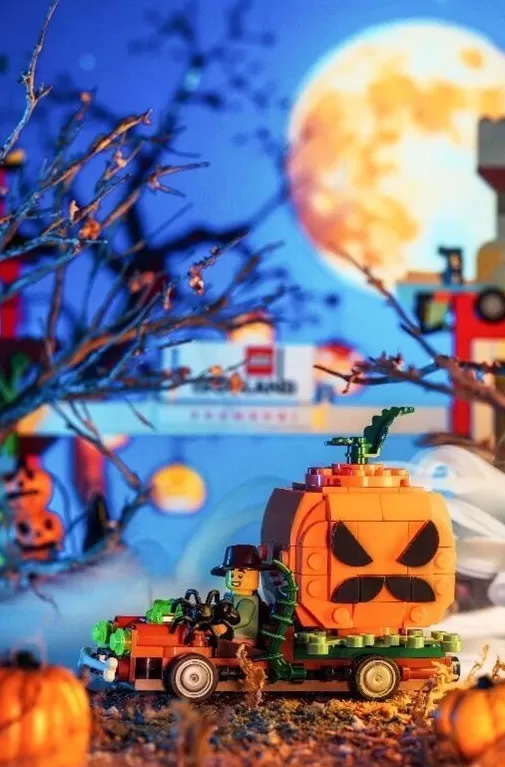 9月20日至30日,凭上海乐高乐园门票可免费游玩枫泾古镇-第1张图片- 9月20日至30日,凭上海乐高乐园门票可免费游玩枫泾古镇-第1张图片-