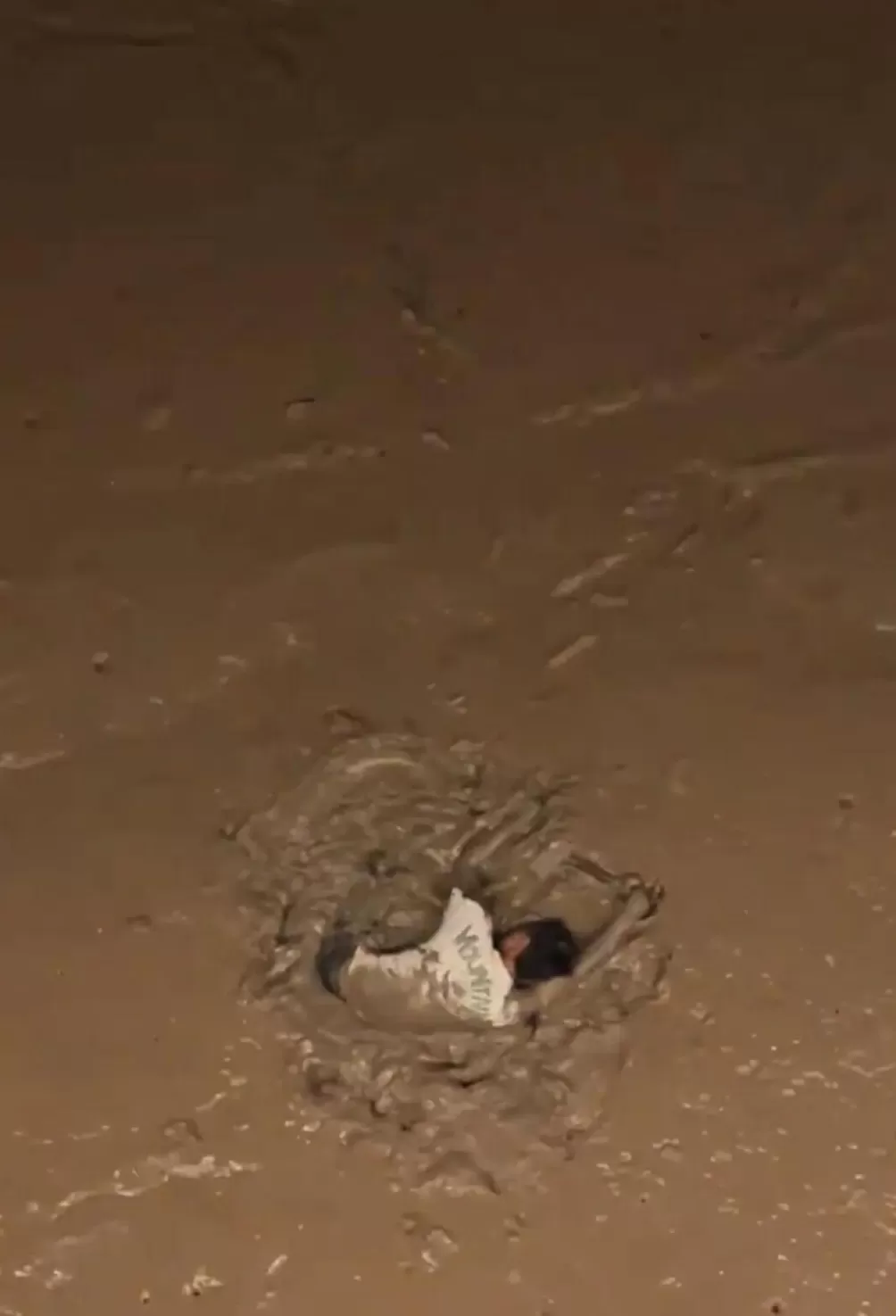 男子从温州一大桥跳下,没想到正值退潮江中无水,身体陷入淤泥中无法脱身-第1张图片- 男子从温州一大桥跳下,没想到正值退潮江中无水,身体陷入淤泥中无法脱身-第1张图片-