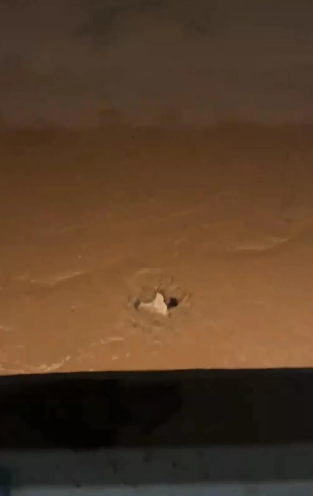 男子从温州一大桥跳下,没想到正值退潮江中无水,身体陷入淤泥中无法脱身-第4张图片- 男子从温州一大桥跳下,没想到正值退潮江中无水,身体陷入淤泥中无法脱身-第4张图片-