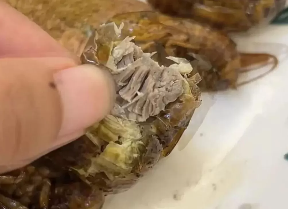 蟑螂如果和小龙虾一样大,能吃吗-第4张图片- 蟑螂如果和小龙虾一样大,能吃吗-第4张图片-