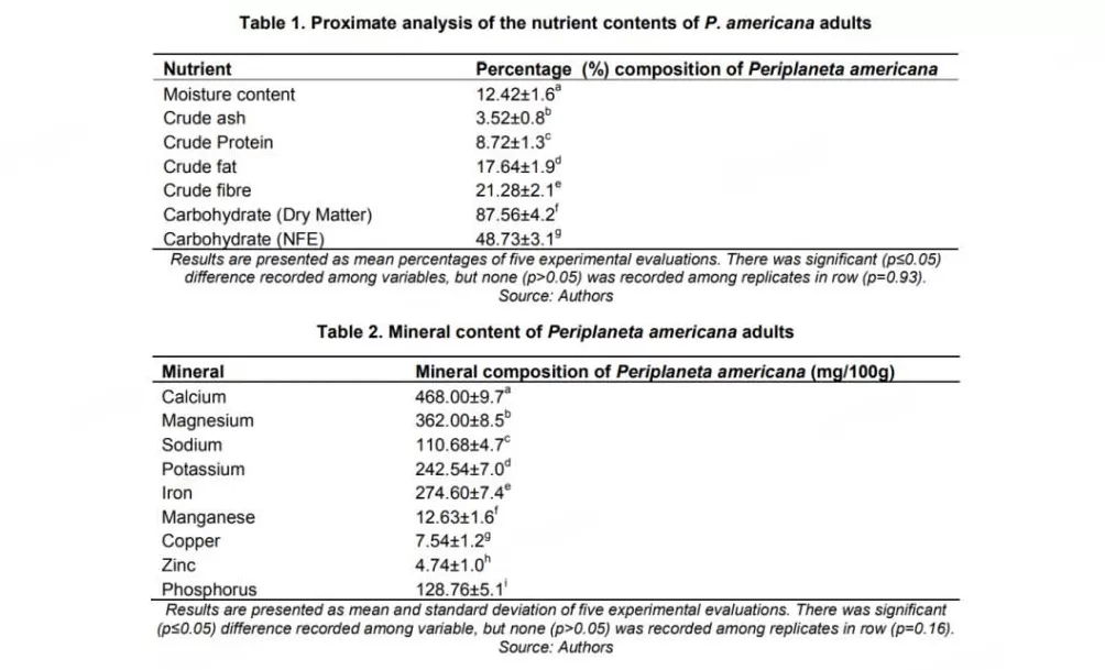 蟑螂如果和小龙虾一样大,能吃吗-第5张图片- 蟑螂如果和小龙虾一样大,能吃吗-第5张图片-
