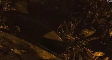 蟑螂如果和小龙虾一样大,能吃吗-第6张图片- 蟑螂如果和小龙虾一样大,能吃吗-第6张图片-