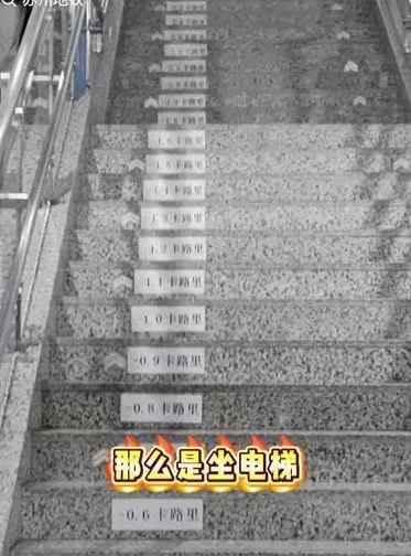 “带薪减肥”走红:身材更美,收入不菲-第2张图片- “带薪减肥”走红:身材更美,收入不菲-第2张图片-