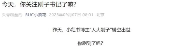 “人大刚子”，有多“刚”？-第3张图片-