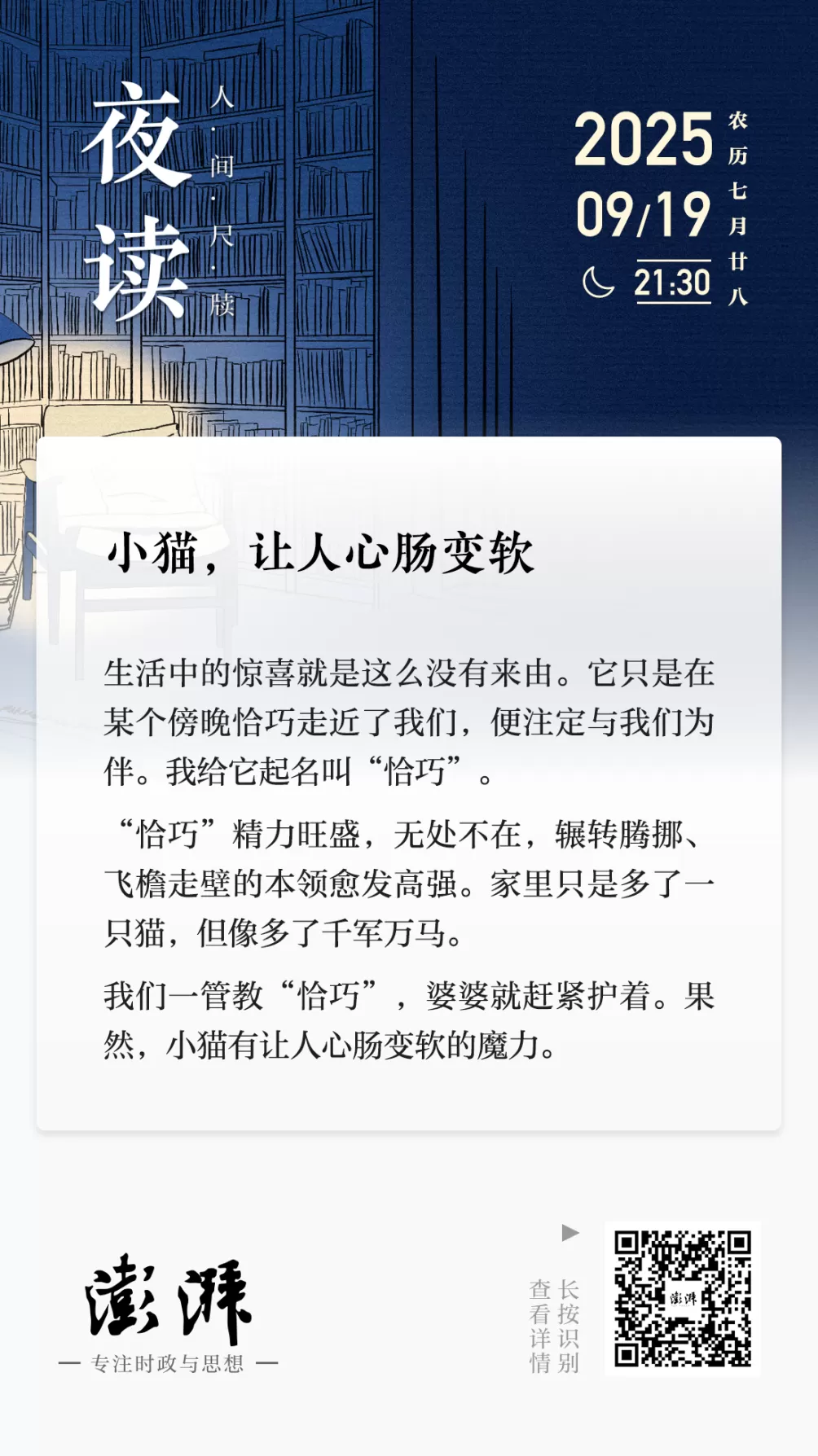 夜读｜小猫，让人心肠变软-第2张图片-
