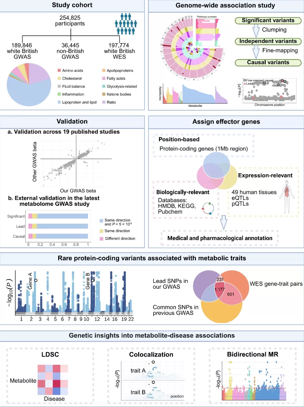 复旦专家团队首次绘制出人类健康与疾病代谢组图谱，可预测数百种疾病-第2张图片-