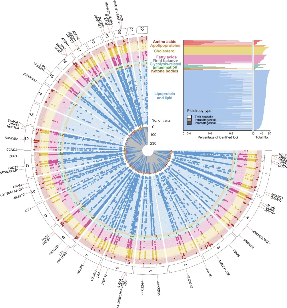 复旦专家团队首次绘制出人类健康与疾病代谢组图谱，可预测数百种疾病-第3张图片-