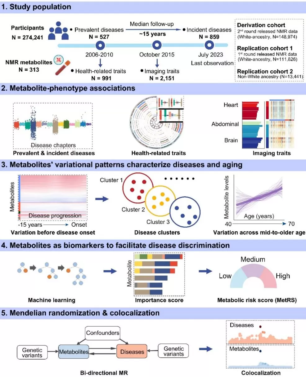 复旦专家团队首次绘制出人类健康与疾病代谢组图谱，可预测数百种疾病-第4张图片-