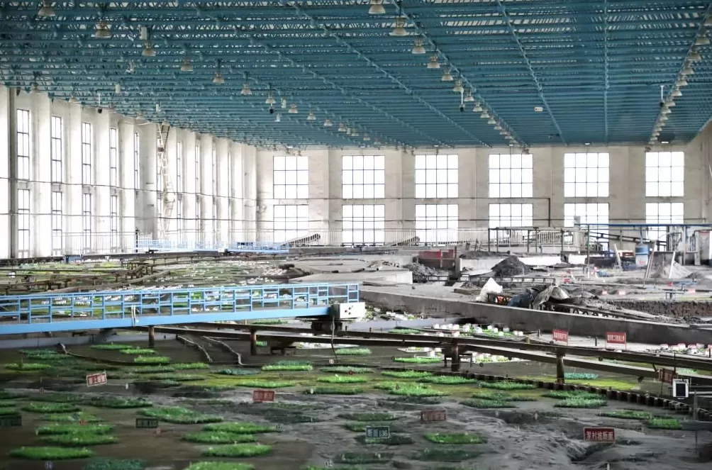 何以中国黄河安澜丨郑州市区有一条800米长的黄河-第2张图片-