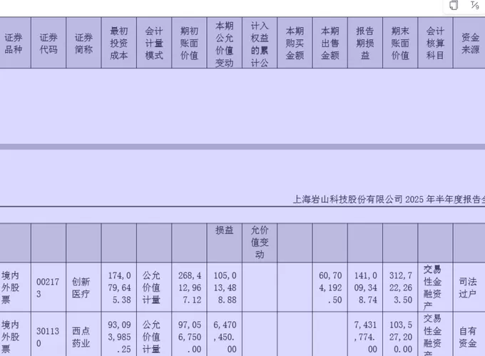 财说| 岩山科技AI业务收入暴跌72%，靠炒股撑起500亿市值？-第2张图片-