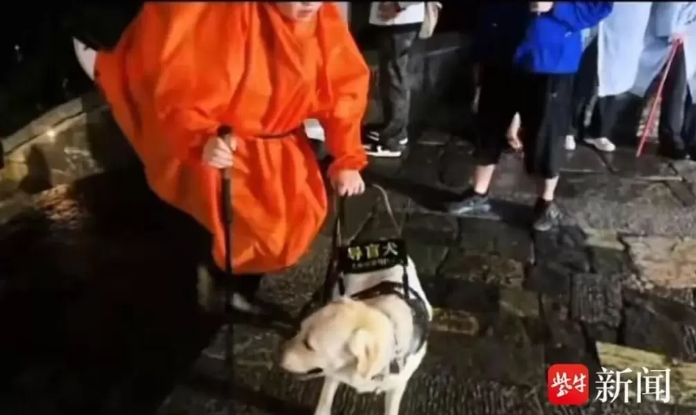 视障人士携导盲犬雨夜爬泰山引争议，当事人回应-第1张图片-
