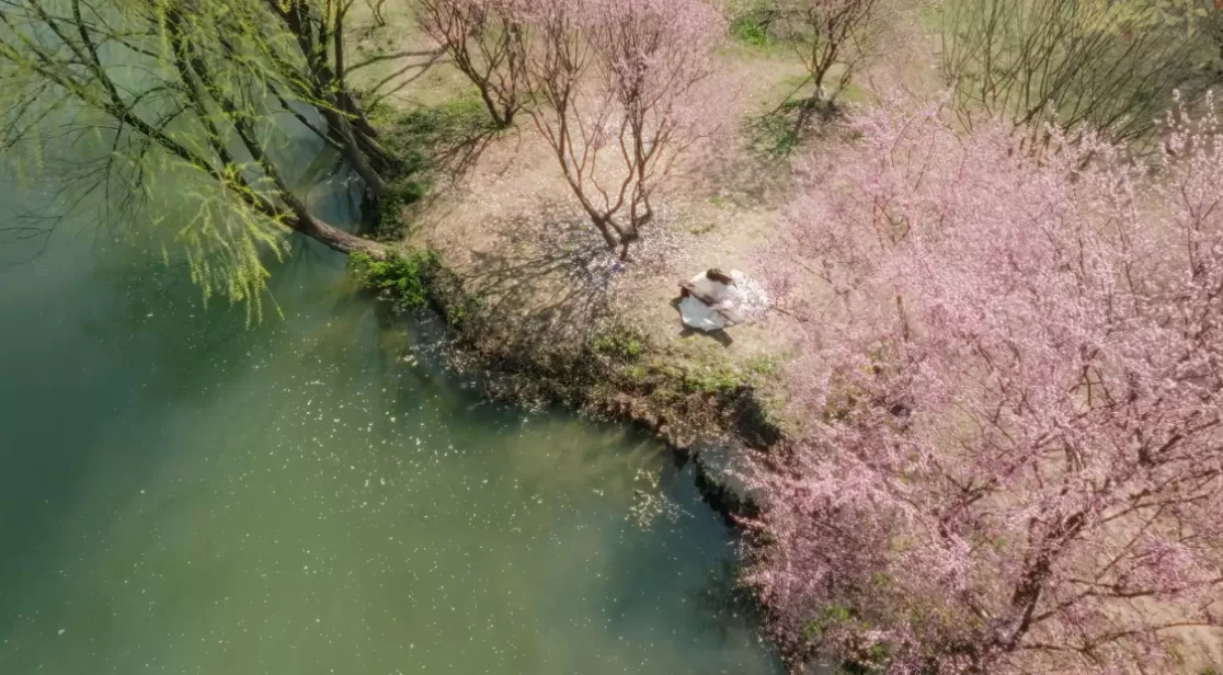 游戏论｜情感权力与爱情游戏：从《清宫计》到《盛世天下》-第7张图片-