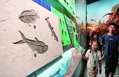 把绿水青山“搬”进课堂-第1张图片-