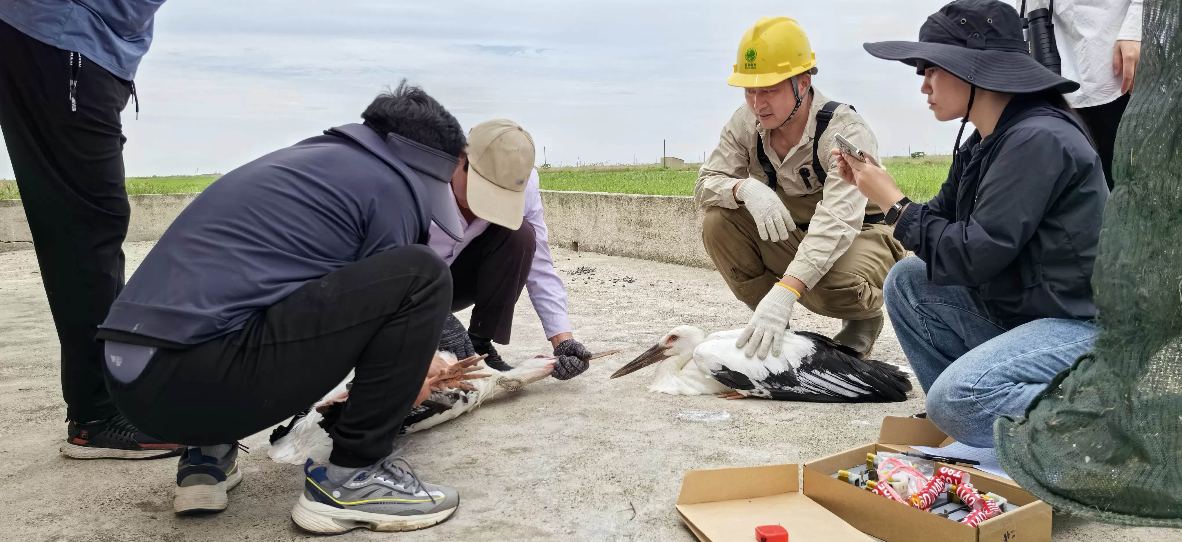 生态优先：如何守护盐城的“高颜值”-第3张图片-