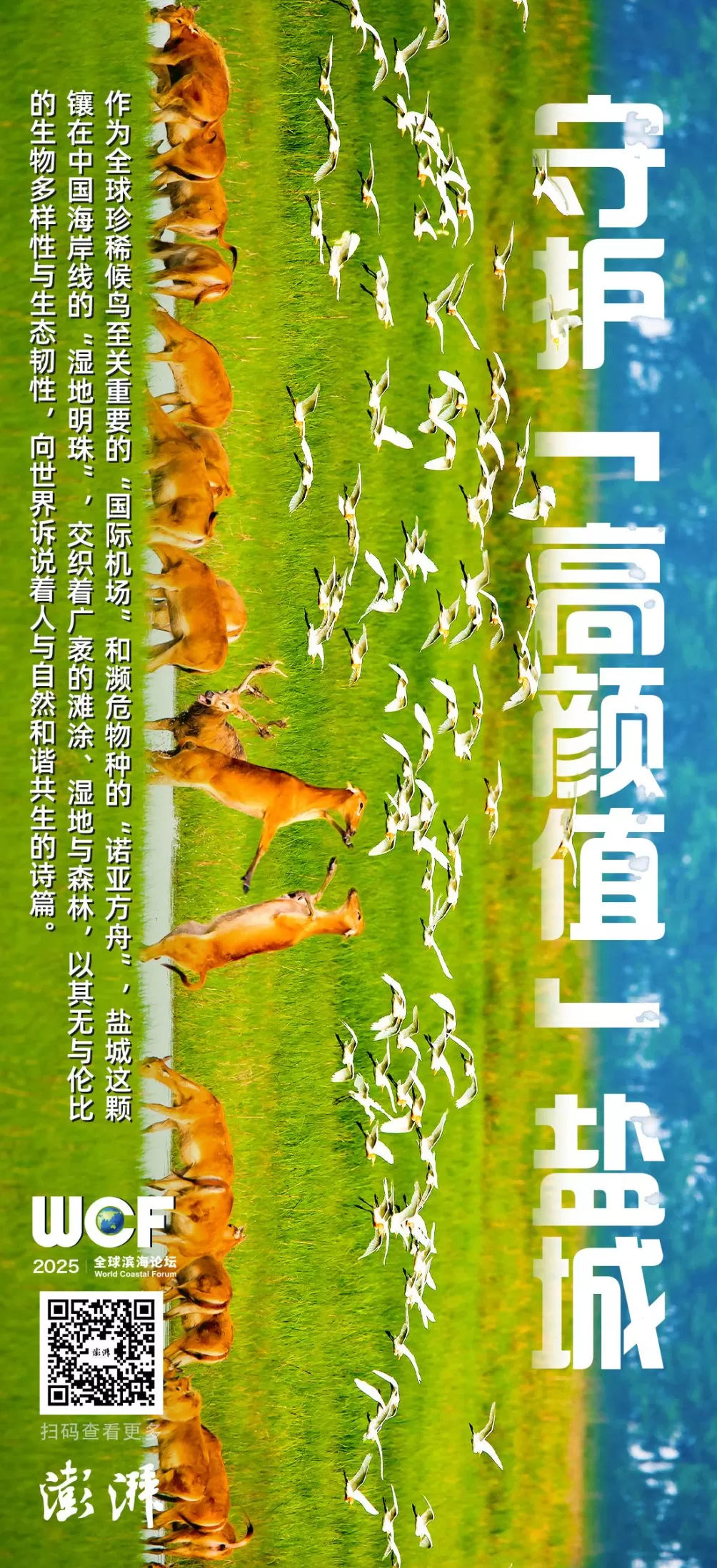 生态优先：如何守护盐城的“高颜值”-第5张图片-