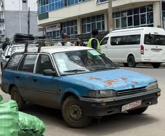 3万中国人涌入非洲：种菜、做电商，卖期房-第7张图片-