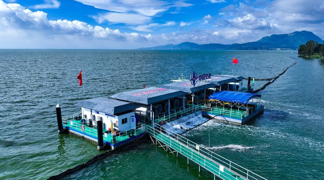 投运一周年，滇池“藻水共治”平台累计回补清水1.3亿立方米-第1张图片-