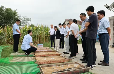 “发现一处金矿”引关注，江苏探寻“地下宝藏”取得重大成果-第1张图片-