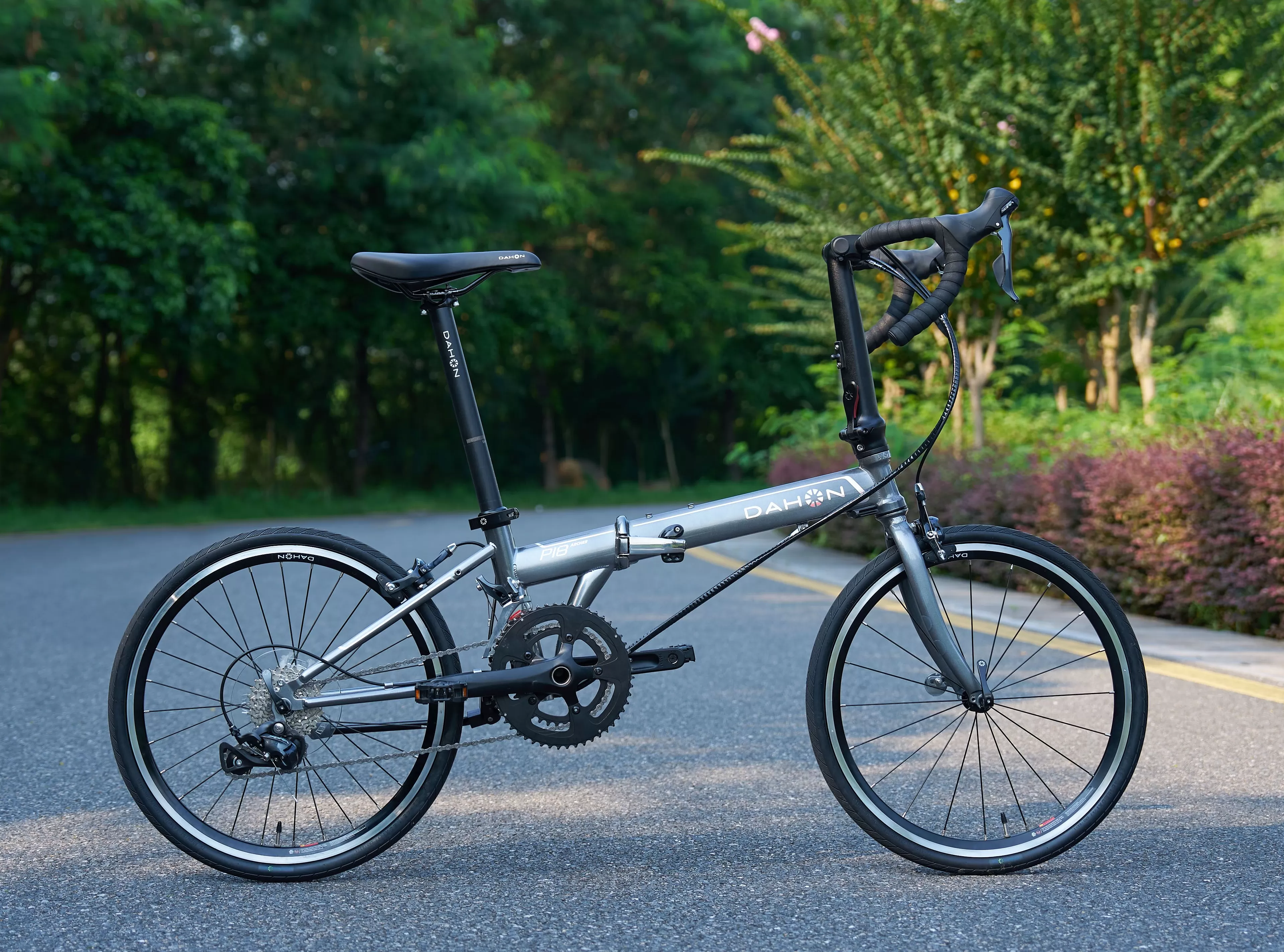 折叠车新秀大行火爆上市背后,出海减速与代工依赖隐现-第2张图片- 折叠车新秀大行火爆上市背后,出海减速与代工依赖隐现-第2张图片-