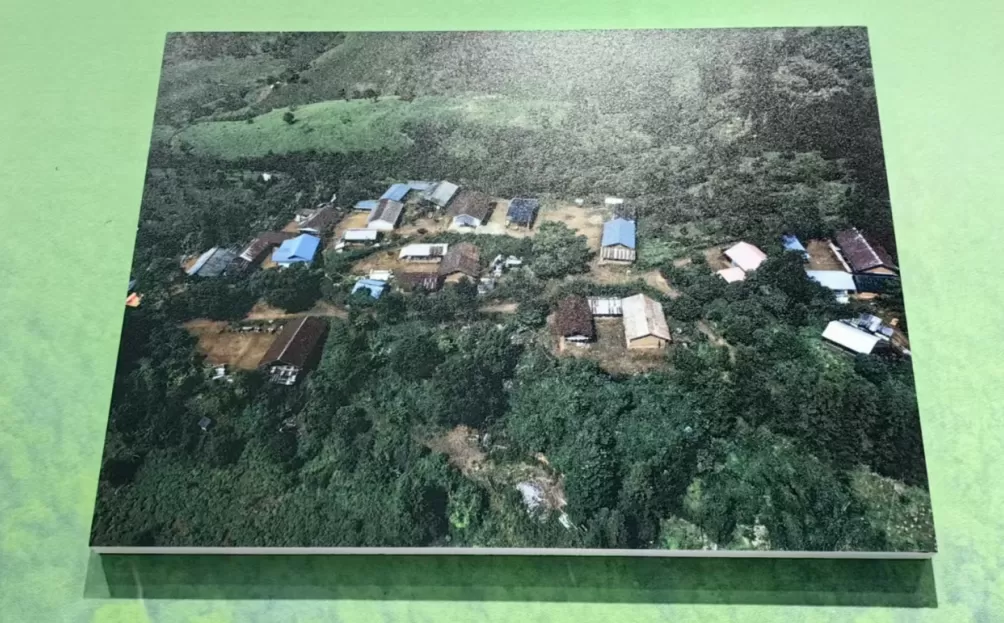 德宏检察:检察机关以公益诉讼助力守护犀鸟家园-第1张图片- 德宏检察:检察机关以公益诉讼助力守护犀鸟家园-第1张图片-