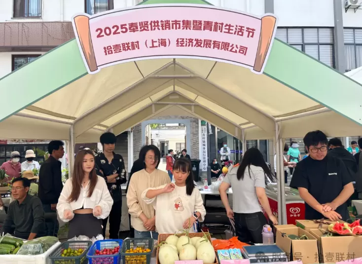 11个村合伙开公司背后,这名村支书致力于让“薄弱村拼出大市场”-第4张图片- 11个村合伙开公司背后,这名村支书致力于让“薄弱村拼出大市场”-第4张图片-