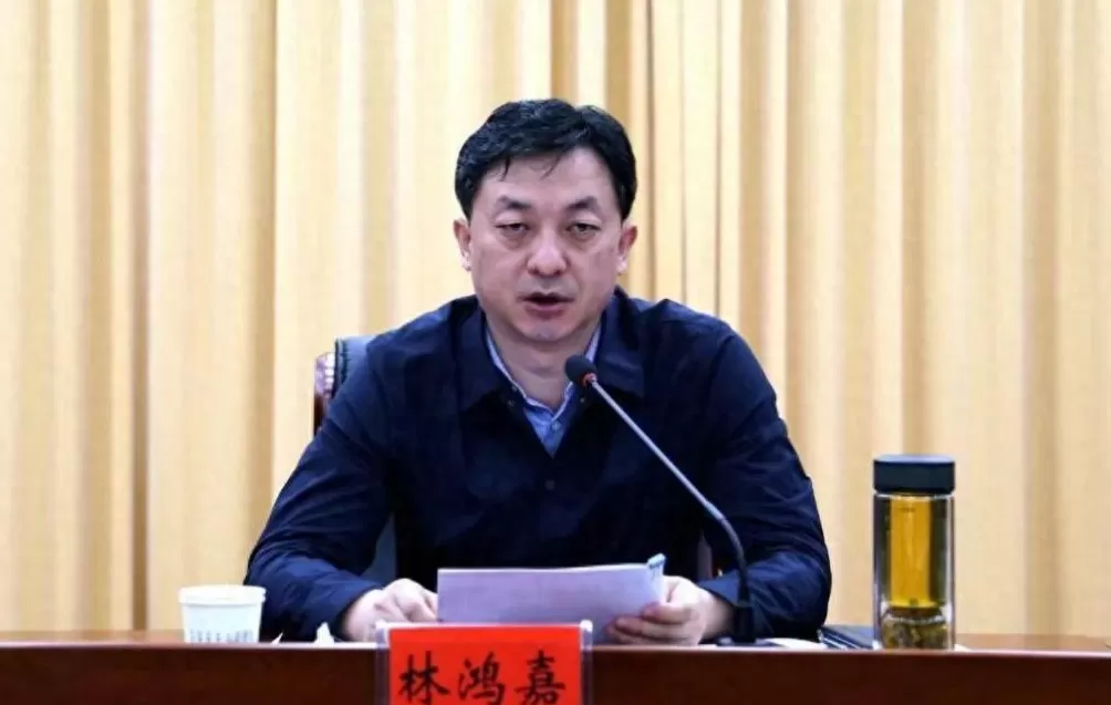 河南省鹤壁市委常委、常务副市长林鸿嘉接受审查调查-第1张图片-