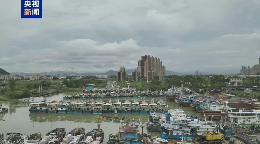 防范超强台风“桦加沙”多地海事部门启动防台风应急响应-第1张图片-