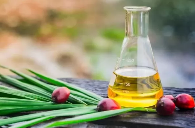 这种东西顿顿离不开，吃多了却容易一身病-第14张图片-