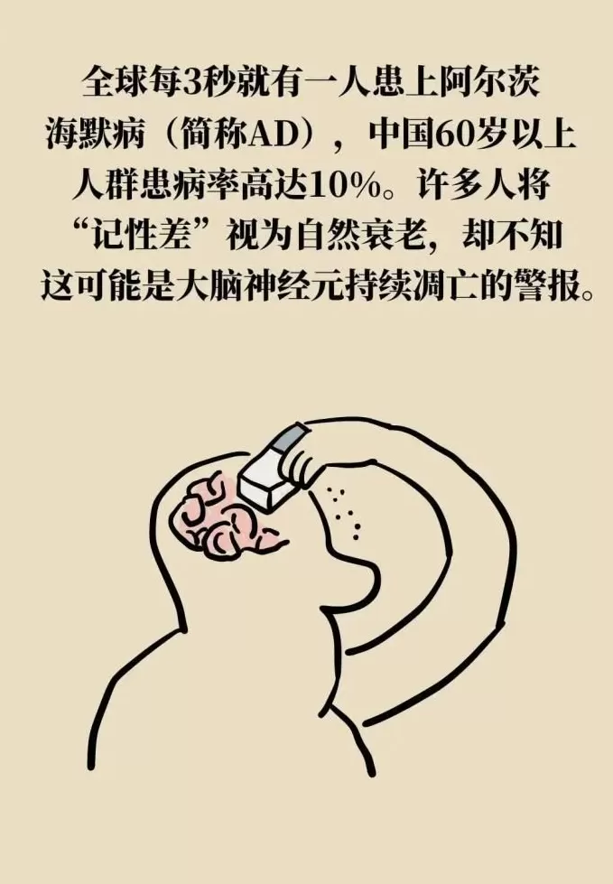 阿尔茨海默病可潜伏20年，抓住“黄金干预期”能逆转-第4张图片-