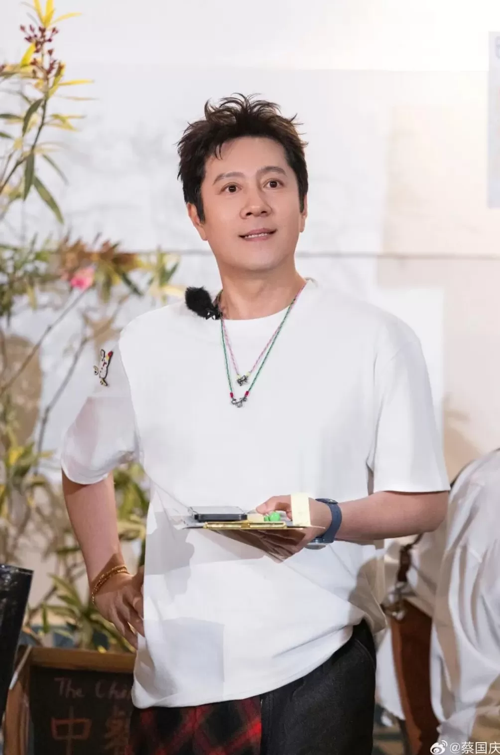 网友谴责蔡国强喜马拉雅山烟花秀,“误入”歌手蔡国庆评论区:为什么放烟花?好好唱歌不行吗?-第1张图片- 网友谴责蔡国强喜马拉雅山烟花秀,“误入”歌手蔡国庆评论区:为什么放烟花?好好唱歌不行吗?-第1张图片-