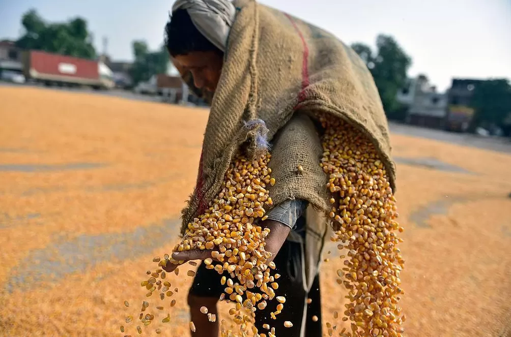 特朗普政府取消发布年度饥饿调查美国舆论质疑声四起-第1张图片-