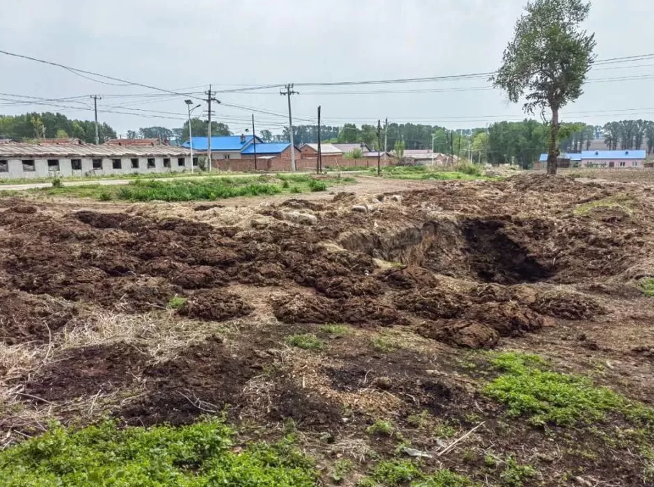 牛粪“围村”：处理牛粪成了“最头疼的事”-第1张图片-