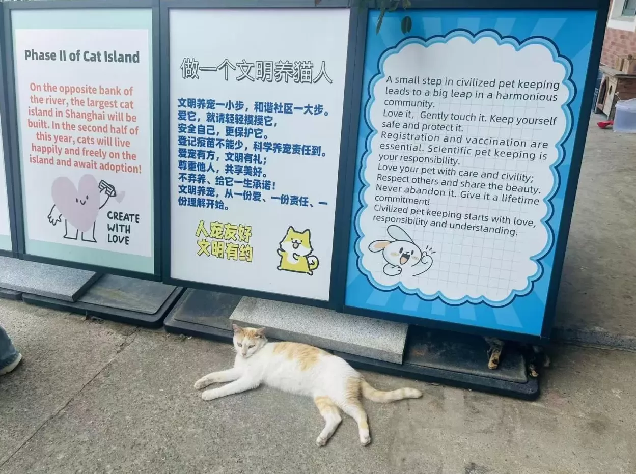 走进新时代文明实践阵地系列｜聚力宝山，“活”起来的文明实践-第2张图片-