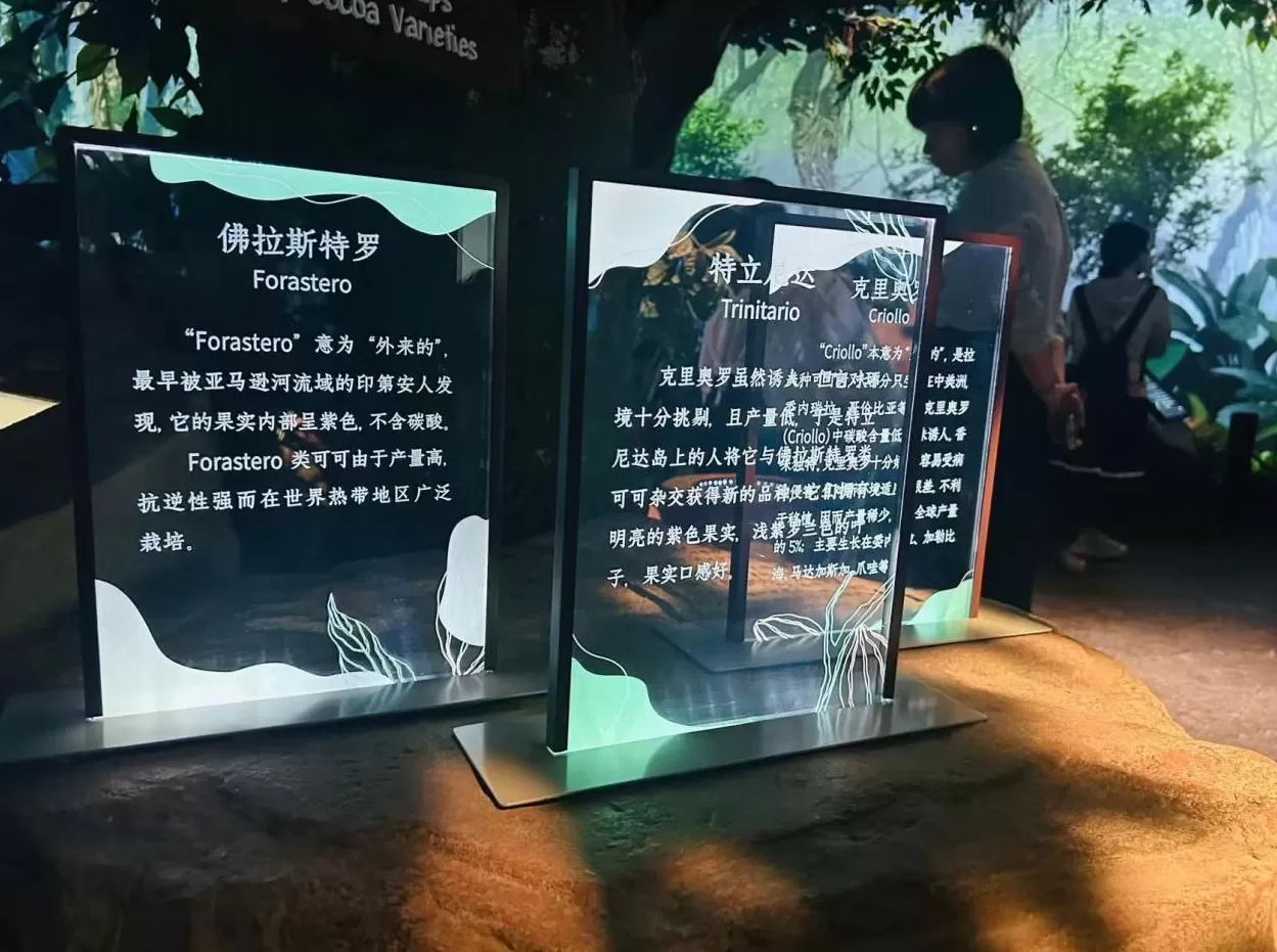 走进新时代文明实践阵地系列｜聚力宝山，“活”起来的文明实践-第3张图片-