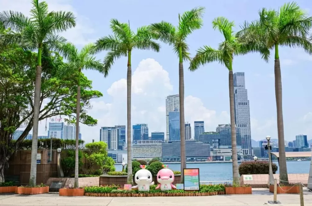 中国资产大爆发,背后藏着这三个城市-第3张图片- 中国资产大爆发,背后藏着这三个城市-第3张图片-