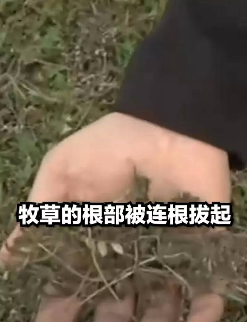 最美的净土，已经毁了-第14张图片-